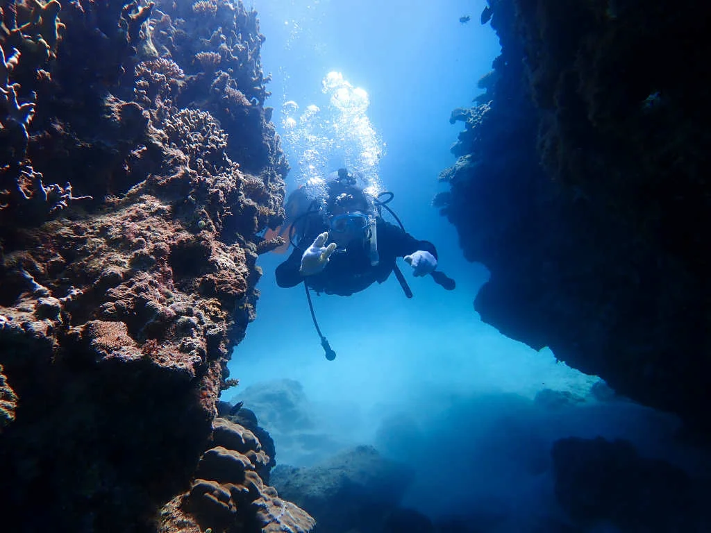 沖縄 Banana Reef ビーチから行く青の洞窟シュノーケリング＆体験ダイビング ＜無料レンタル付き＞