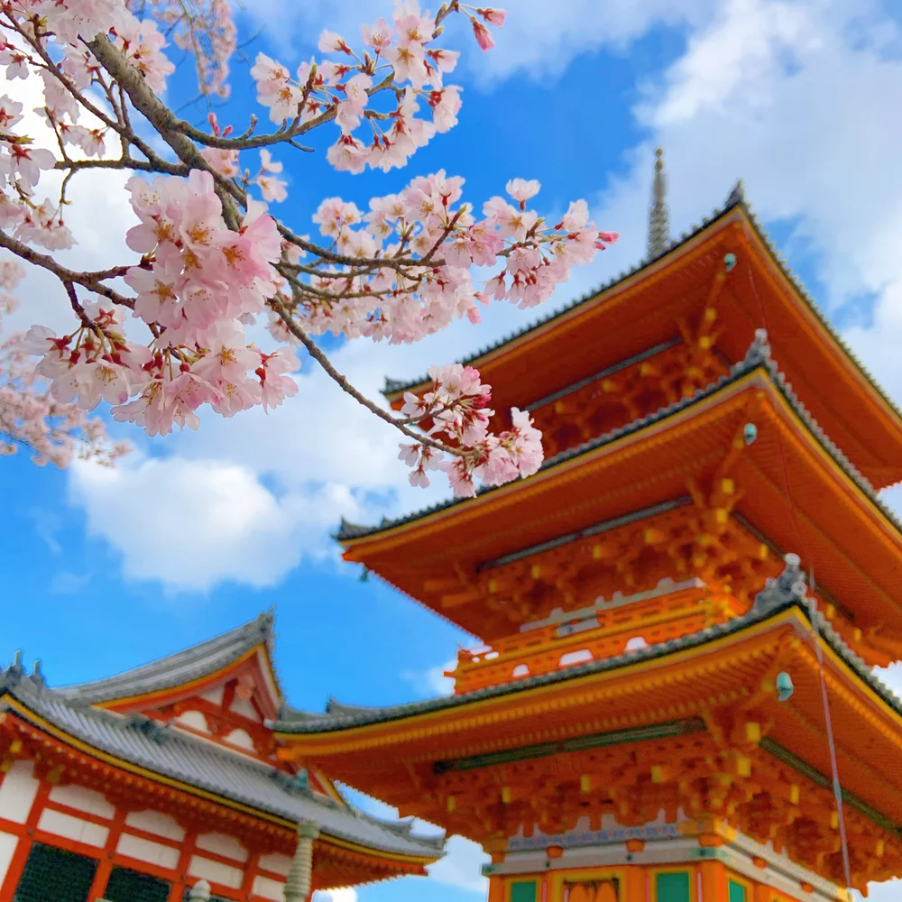 1 Day Tour Around Historical Sites in Kyoto