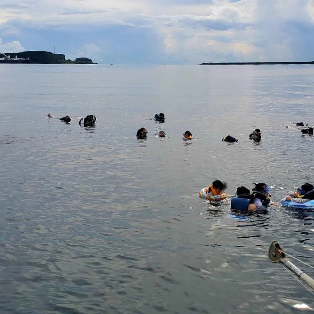 Guam Dolphin Watching Tour (w/ Banana Boat & Snorkeling on Afternoon Tour)