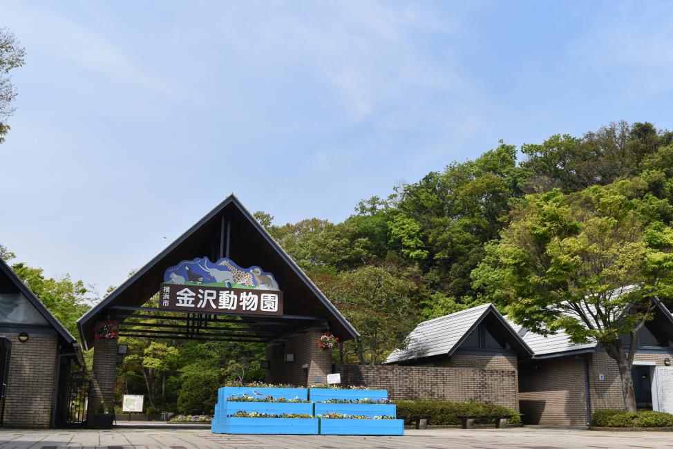 神奈川 横浜 金沢動物園 入園チケット 予約＜毎週土曜日は、小・中・高校生は無料・要学生証等＞