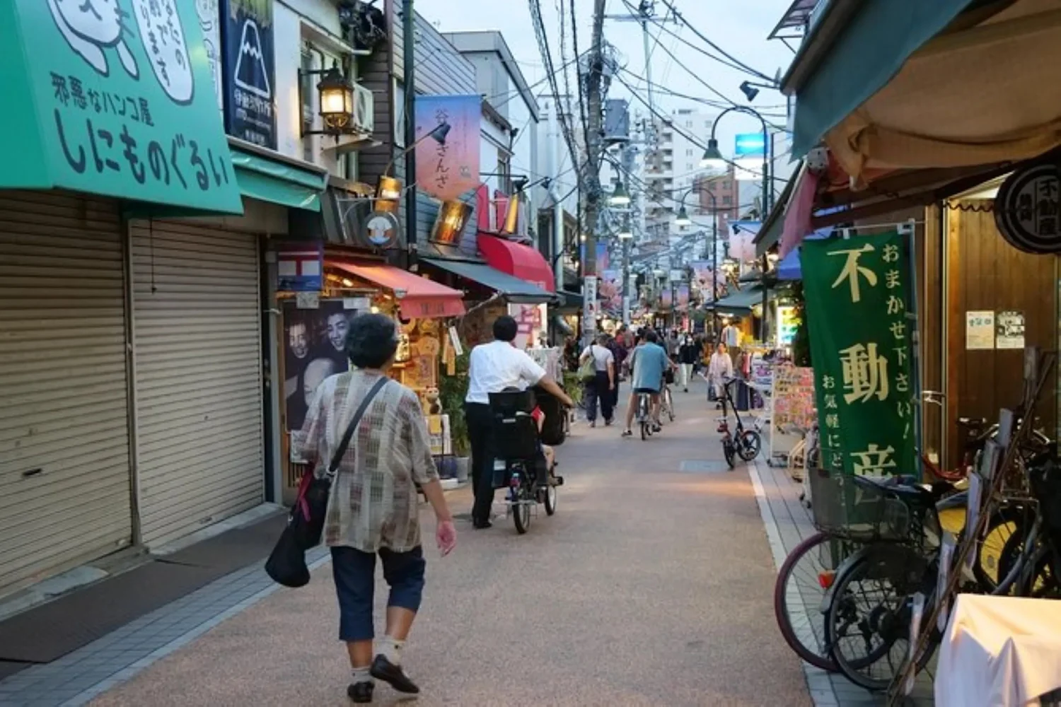 Book Retro Shitamachi Walking Tour in Tokyo's Old Town Yanaka