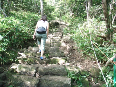 韓国 済州島 漢羅山（ハンラサン）登山体験ツアー 予約