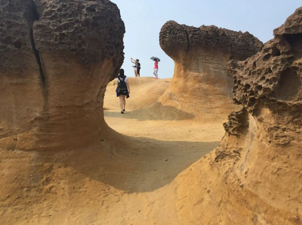 北海岸の奇岩パノラマ！野柳地質公園と金山老街散策ツアー ＜日本語ガイド付き＞