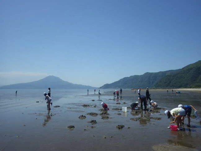 Wildlife Tour of the Largest Tidal Flat in Kagoshima