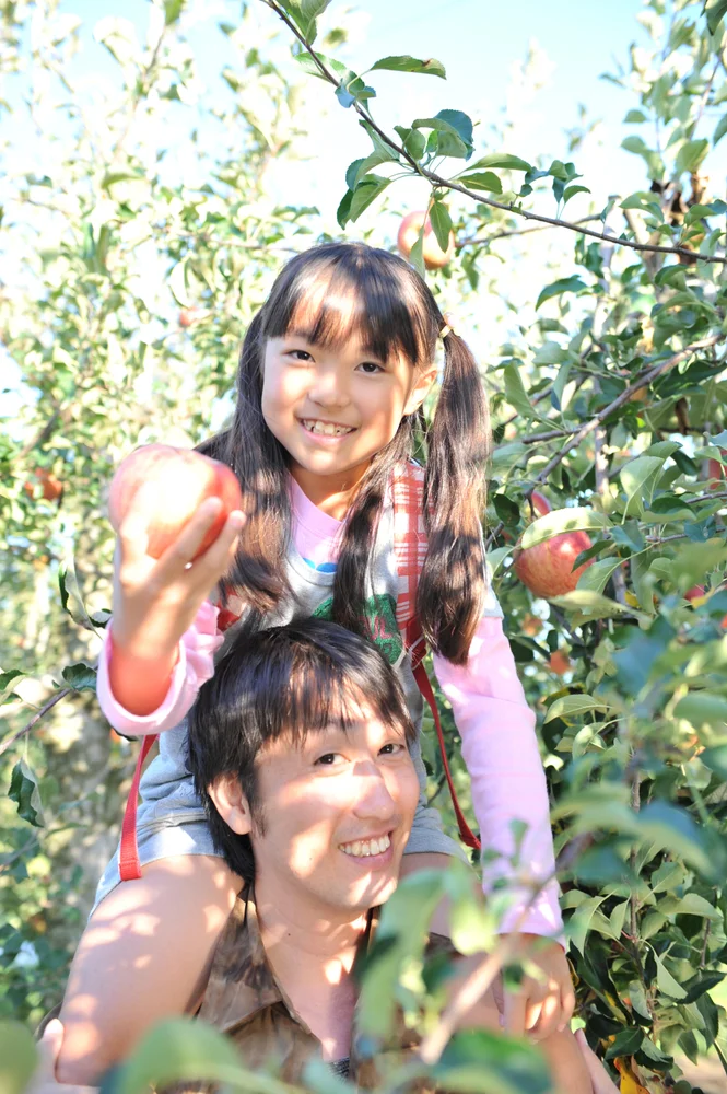 群馬 沼田 りんご狩り 食べ放題！＜かごもぎ取り付きプランあり＞