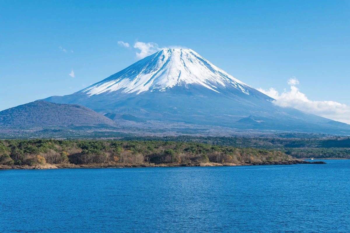 Mt.Fuji Discovery: Scenic Bus Tour with Pagoda Views, Traditional Lunch, & English Guide from Tokyo