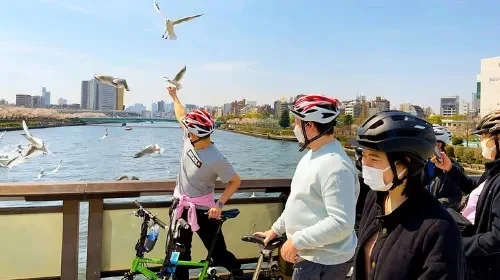 Tokyo Cycling Tour – Explore Downtown Backstreets!