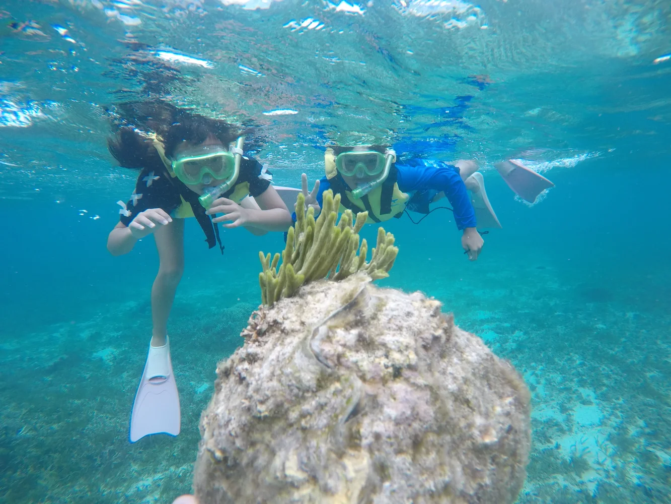 Okinawa Snorkeling & SUP — Water Sports Experience in Bise