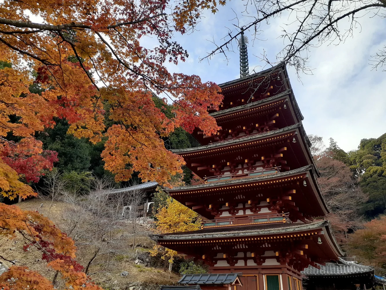 Visit deep spiritual sites in Nara with a local guide!