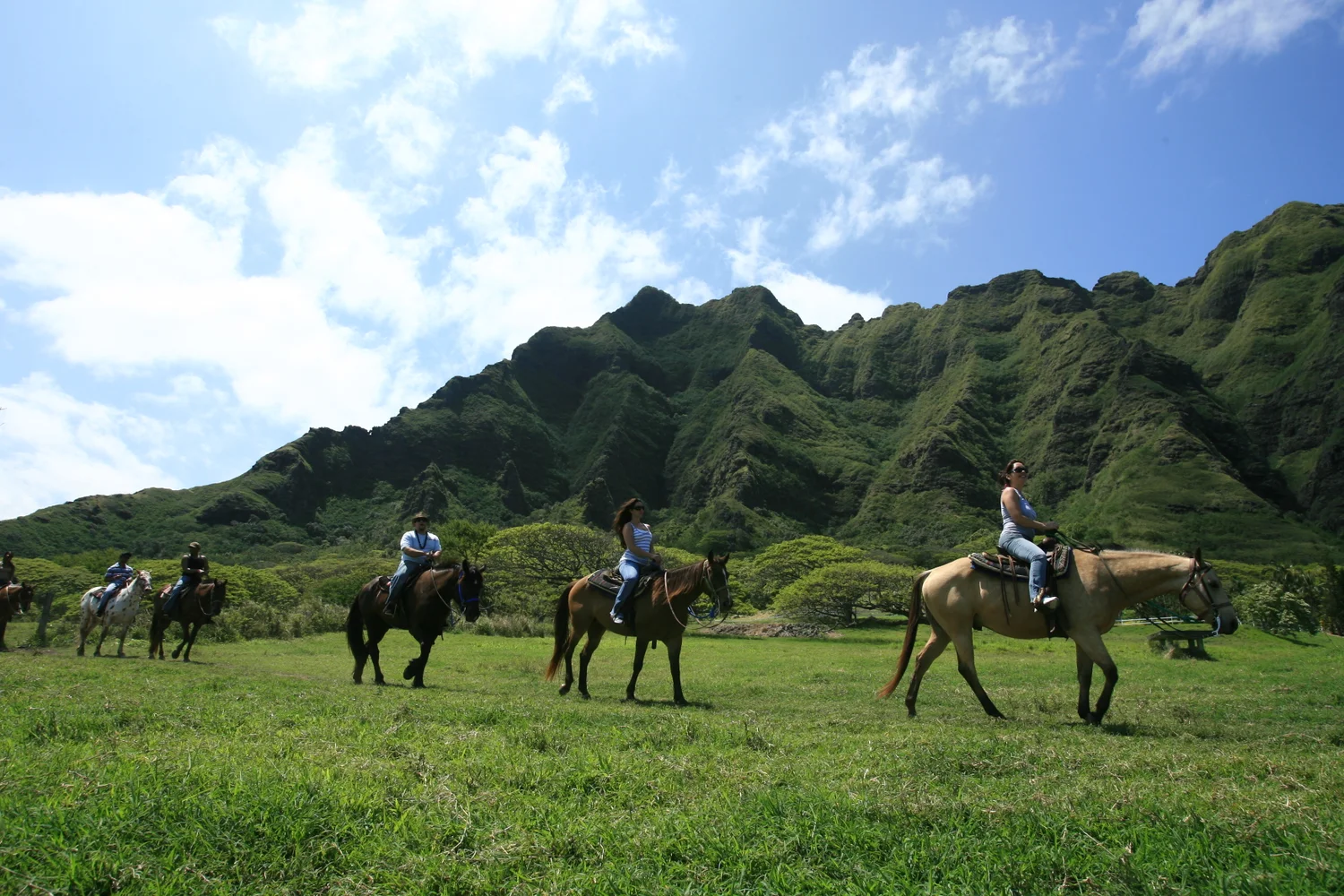 ハワイ クアロアランチ（牧場）ツアー ＜乗馬・ジップライン・ラプター（バギー）など＞