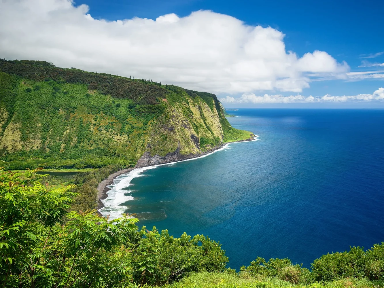 【ハワイ島】魅力満載！島内観光ツアー予約 ＜貸切チャーター・日本語ガイド＞
