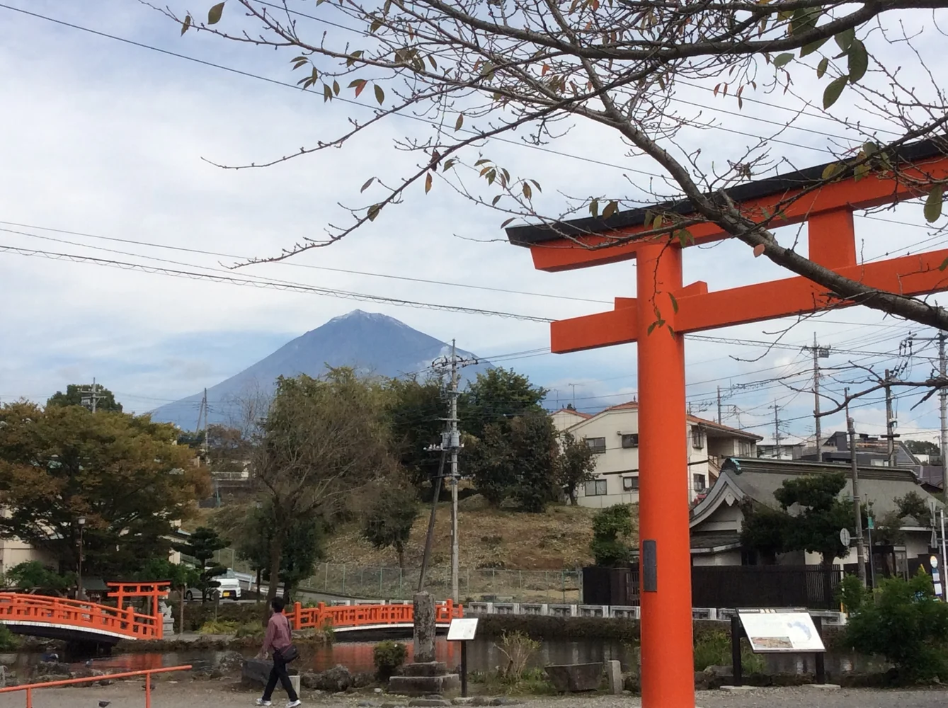 Take a Trip to the Outskirts of Mt Fuji in Shizuoka