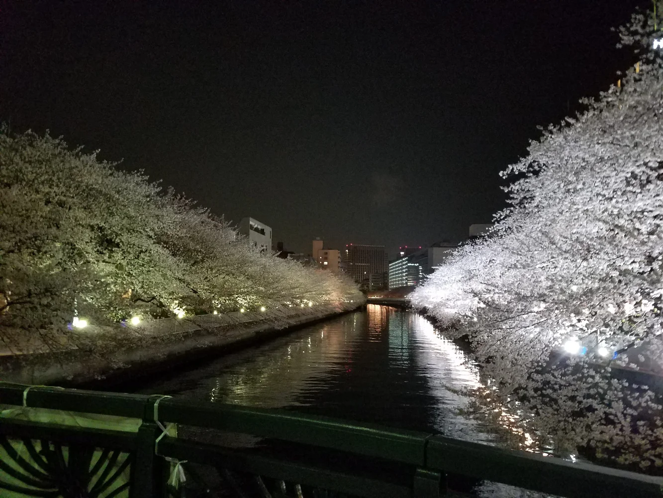 Tokyo Sumida River Cherry-Blossom Viewing Private Cruise [Mar 20 to Apr 14]