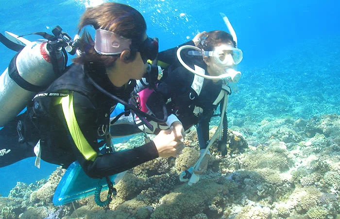Okinawa Diving — Full-Day Tour From Naha to the Keramas