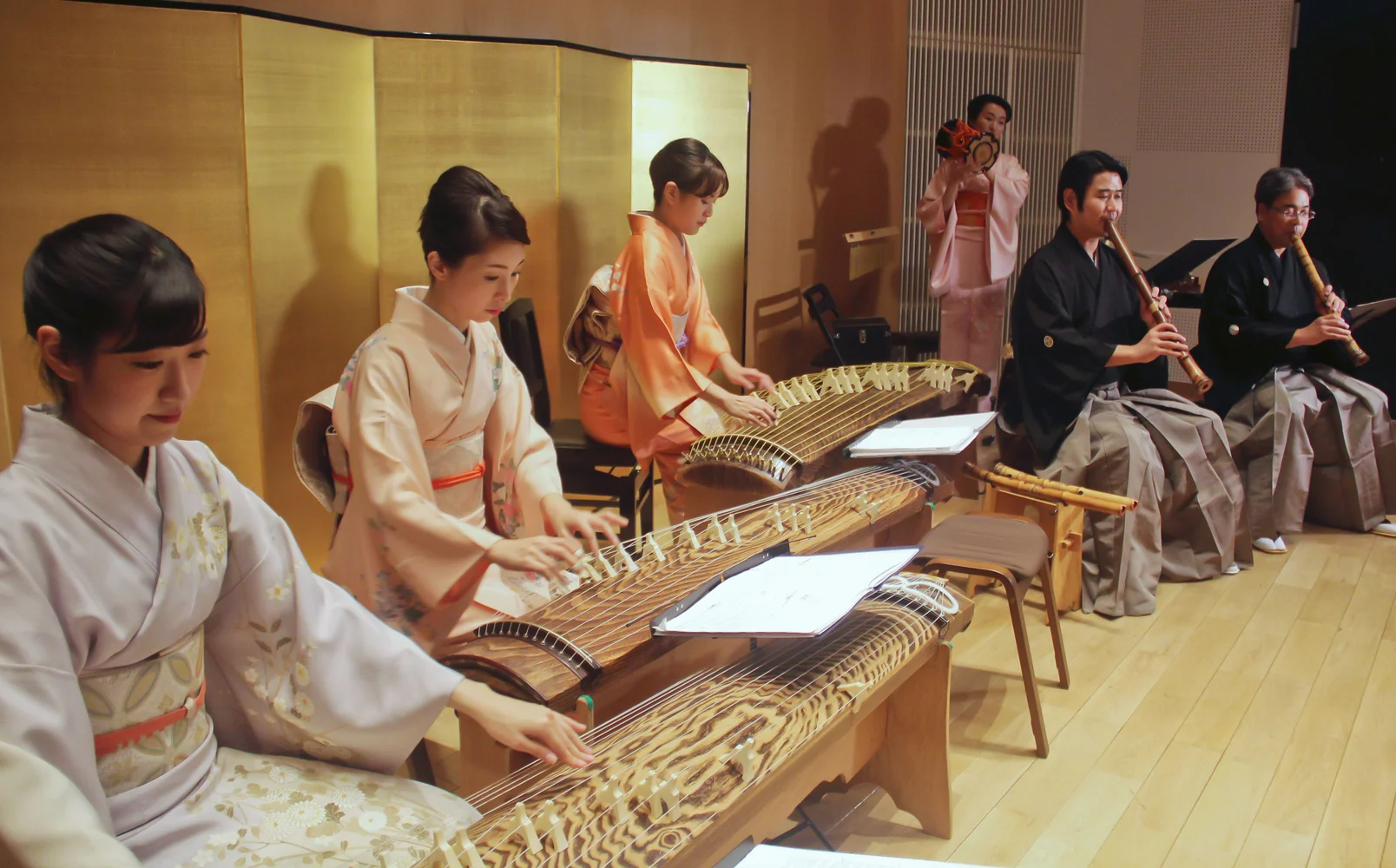 Traditional Japanese Music ZAKURO SHOW in Tokyo