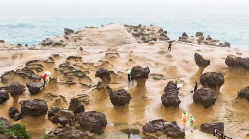 台湾 野柳地質公園 入場Eチケット 予約