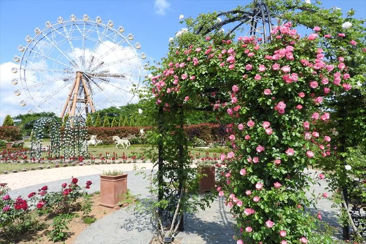 埼玉 東武動物公園 入場Eチケット 事前予約＜アトラクションパス（乗り