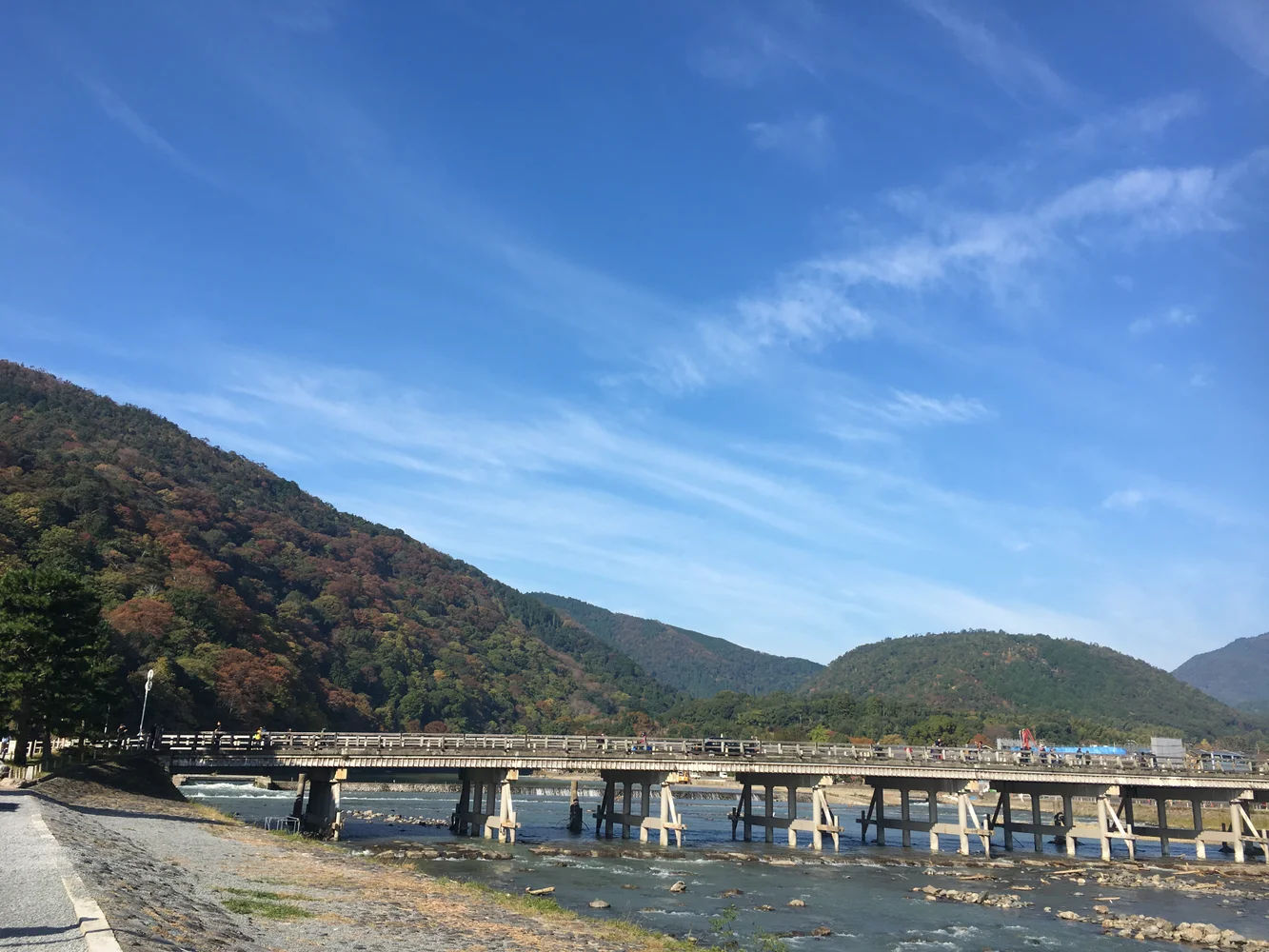 Join Kyoto Arashiyama Bamboo and Tenryu-ji Private Tour