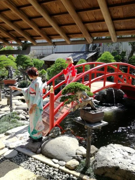 東京 春花園盆栽美術館 盆栽体験＆美術館見学ツアー 予約