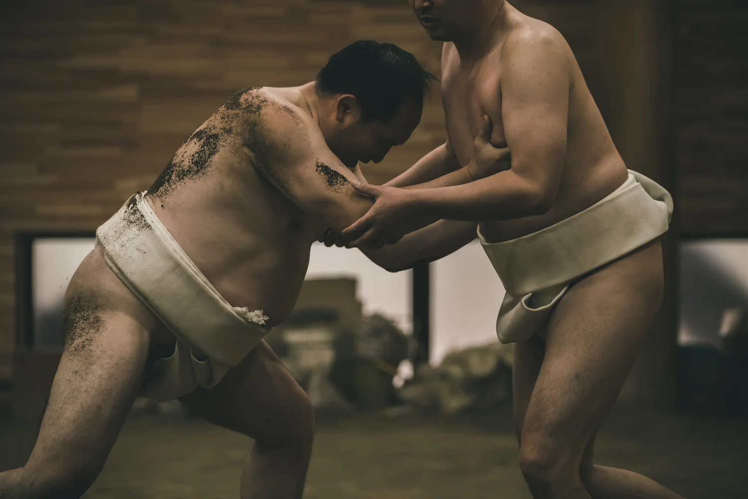 Tokyo Sumo Stable Tour — Watch Morning Sumo Training