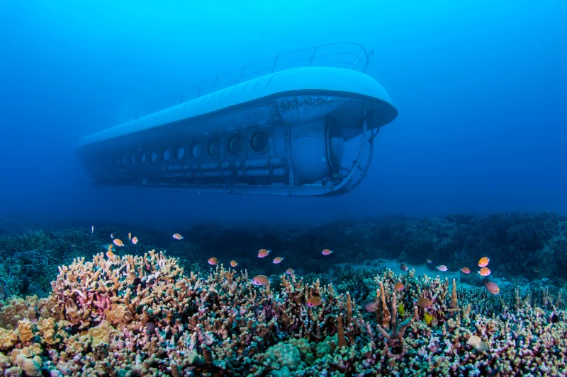【ハワイ島コナ発】アトランティス潜水艦観光ツアー　＜送迎なし／英語ツアー／日本語ナレーション有（事前ダウンロード必要）＞