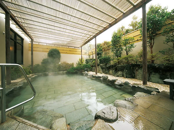 Forest Therapy Tour & Rotenburo Bath — Minamiboso near Tokyo