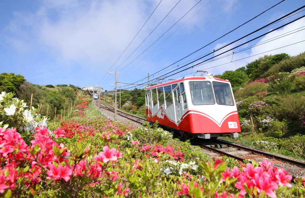 静岡 十国峠パノラマケーブルカー 往復乗車チケット 引換券 予約