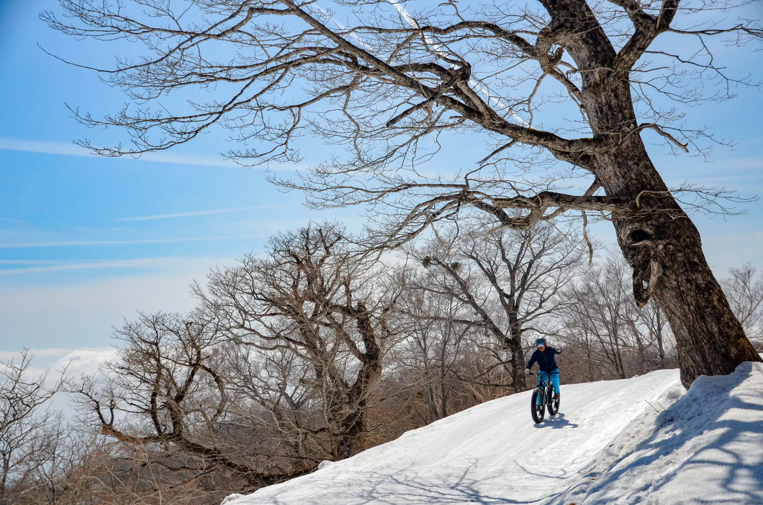 Snow Cycling in Mount Nasu