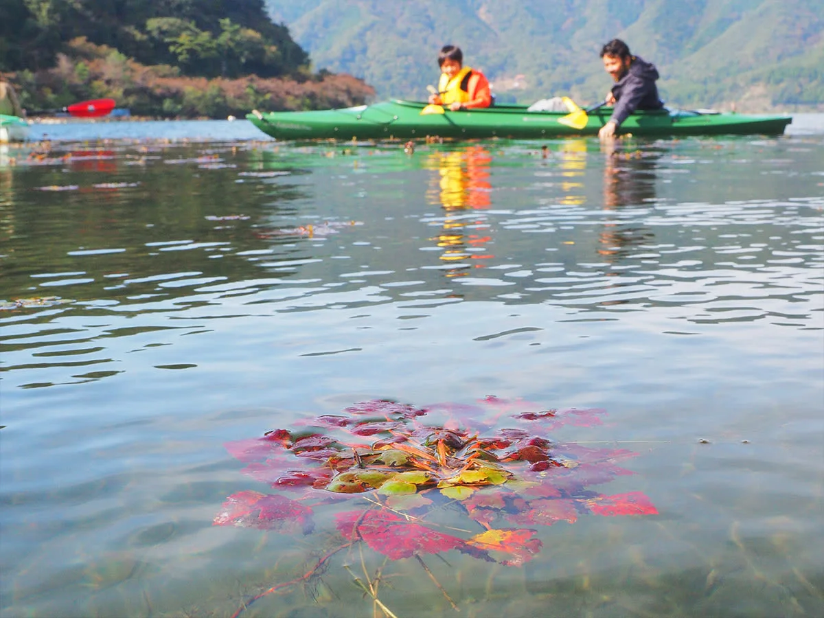 Kayaking Nature Tour of Lake Biwa and Sugaura Village, Shiga