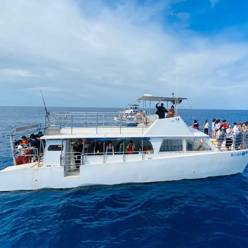 Guam Afternoon Boat Dive & Dolphin Watching (w/ Pick-Up & Drop-Off)