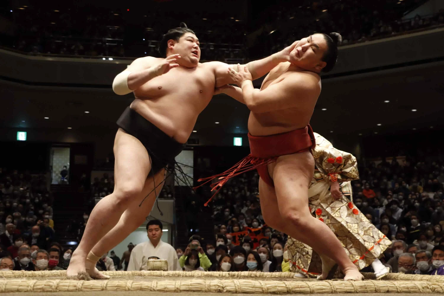 [Nov 2024] Watch Fukuoka Sumo Tournament with a Licensed Guide (A-Class Seating)