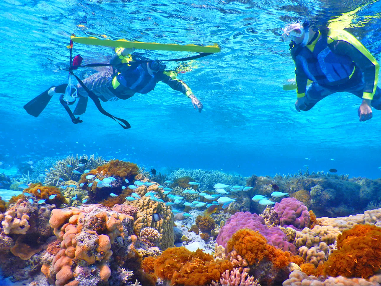 Kerama Islands Snorkeling & Kayaking Uninhabited Island Tour