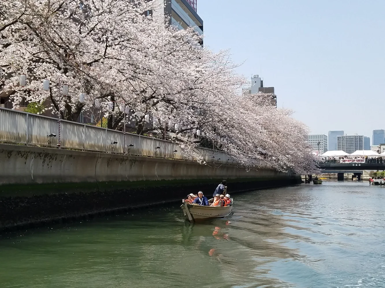 東京 大横川＆隅田川 貸切お花見クルージング 予約　＜3月20日から4月14日までの期間限定＞