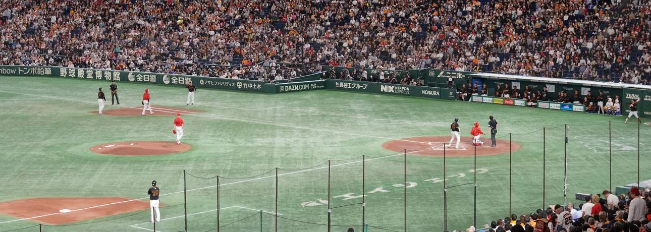 Tokyo Baseball Game: Watch Yomiuri Giants with English-Speaking Expert Guide