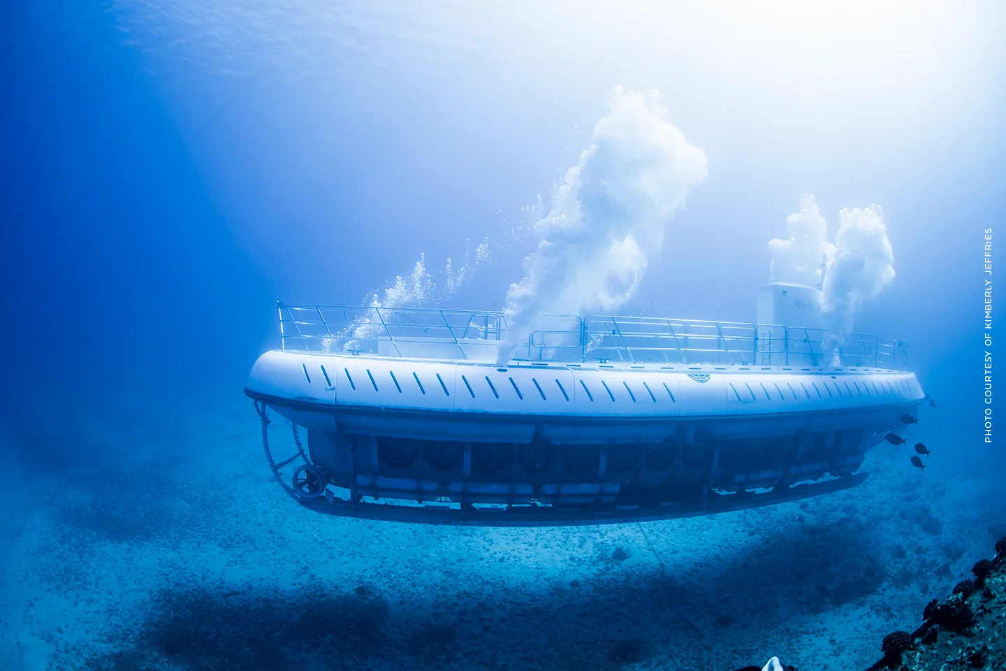 ハワイ アトランティス潜水艦ツアー！オアフ島の海底アドベンチャー＜英語ツアー／日本語ナレーション有（事前ダウンロード必要）＞