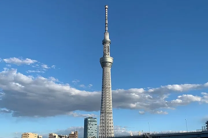 Tokyo Skytree Exploration & Asakusa History Tour