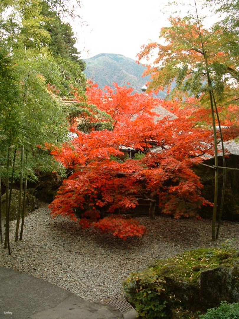 神奈川 箱根美術館入場 Eチケット（引換券）予約