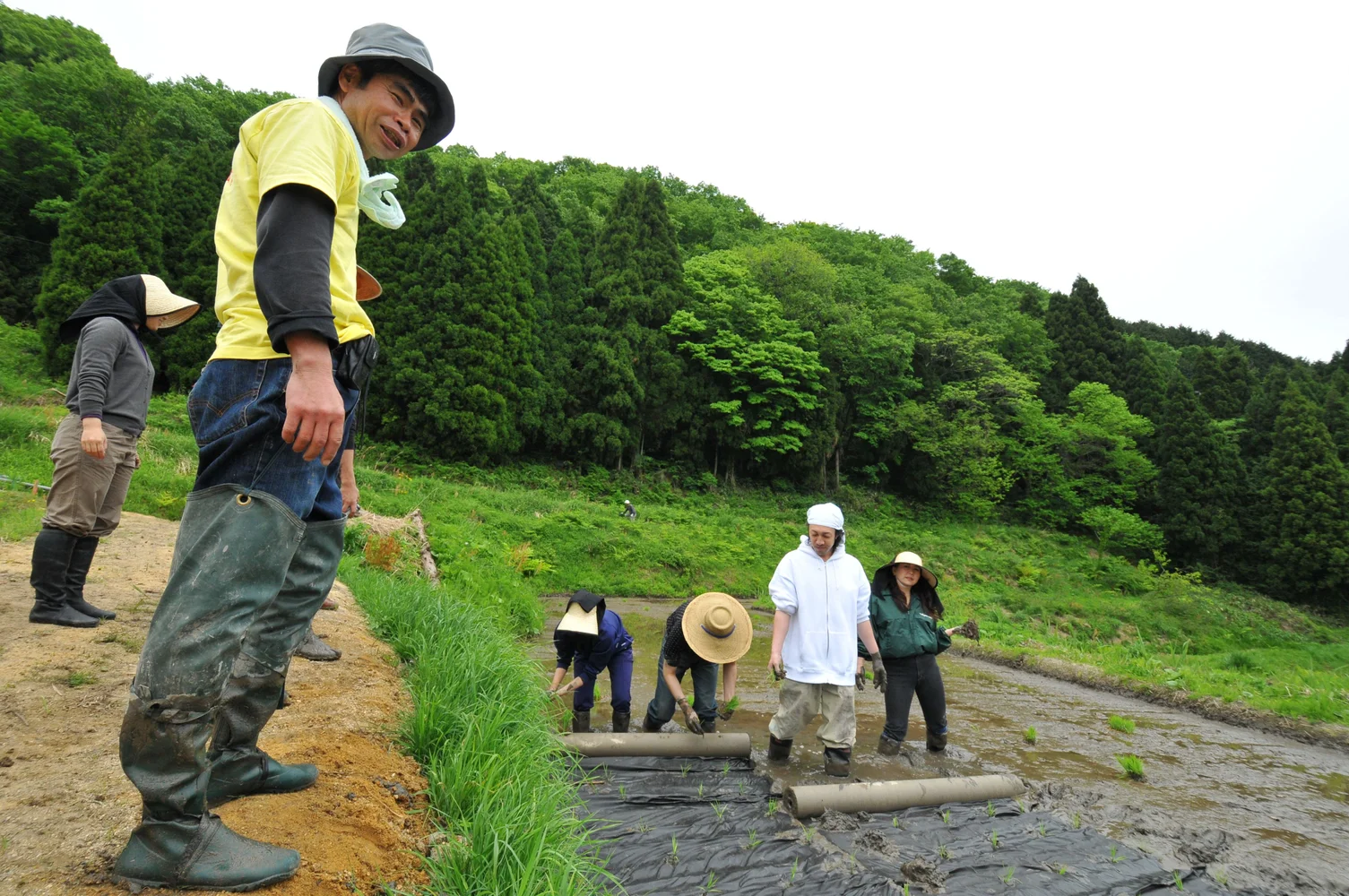 Experience Village Community Life Amid the Rice Terraces of Kamiseya in Rural Kyoto With Gibier Lunch (Group Price)