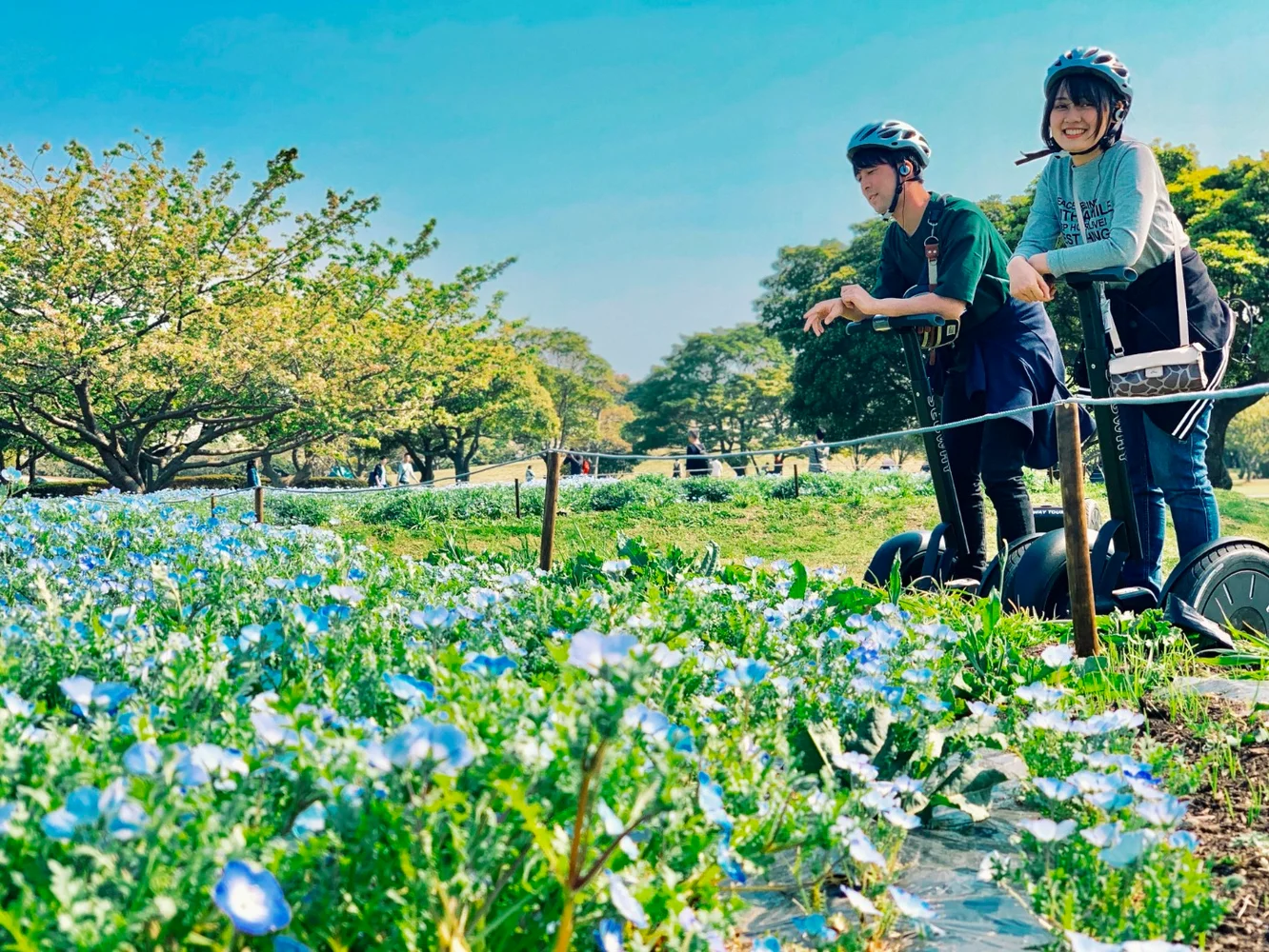 Segway Tour of Uminonakamichi Seaside Park in Fukuoka