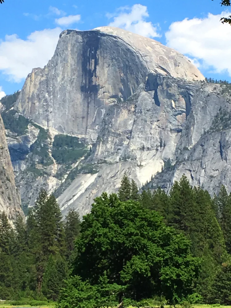 Yosemite National Park 1-Day Private Tour from San Francisco