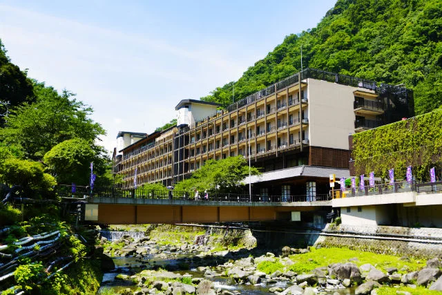 Hakone Yumoto Onsen Tenseien Admission E-Ticket