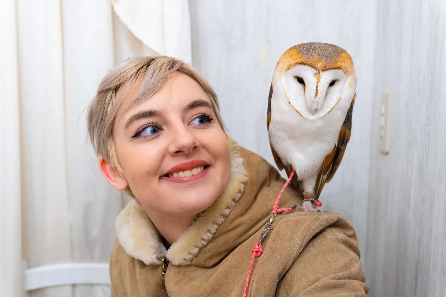 Book Akiba Owl Cafe Experience with Photo Shooting!