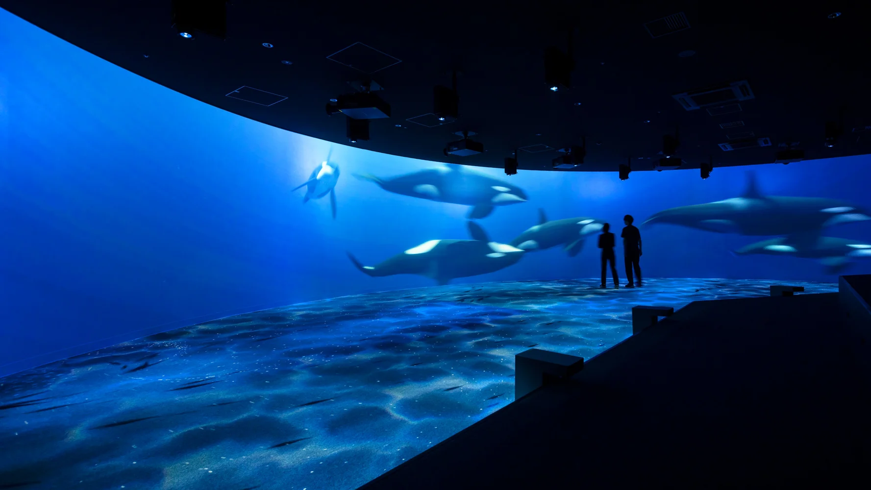 北海道 AOAO SAPPORO水族館 入場Eチケット