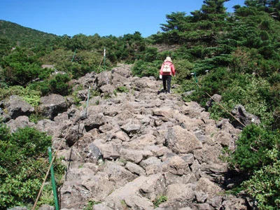 韓国 済州島 漢羅山（ハンラサン）登山体験ツアー 予約