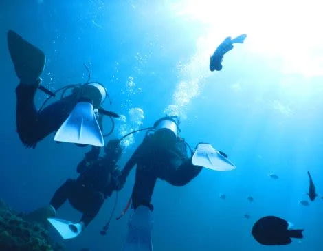 沖縄 むるぬーし 青の洞窟＆ボート体験ダイビング（1ダイブ）