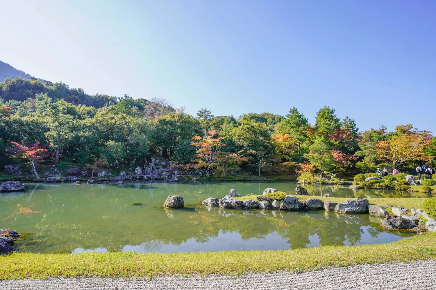 京都 竹林とユネスコ寺院 嵐山インサイダーツアー 予約
