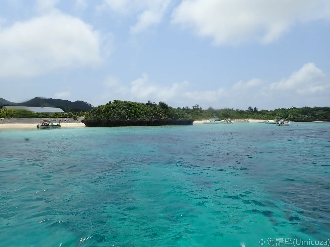 Book Snorkeling Tour in Ishigaki Island’s Emerald Waters (Manta Ray & Turtle Search Japan)