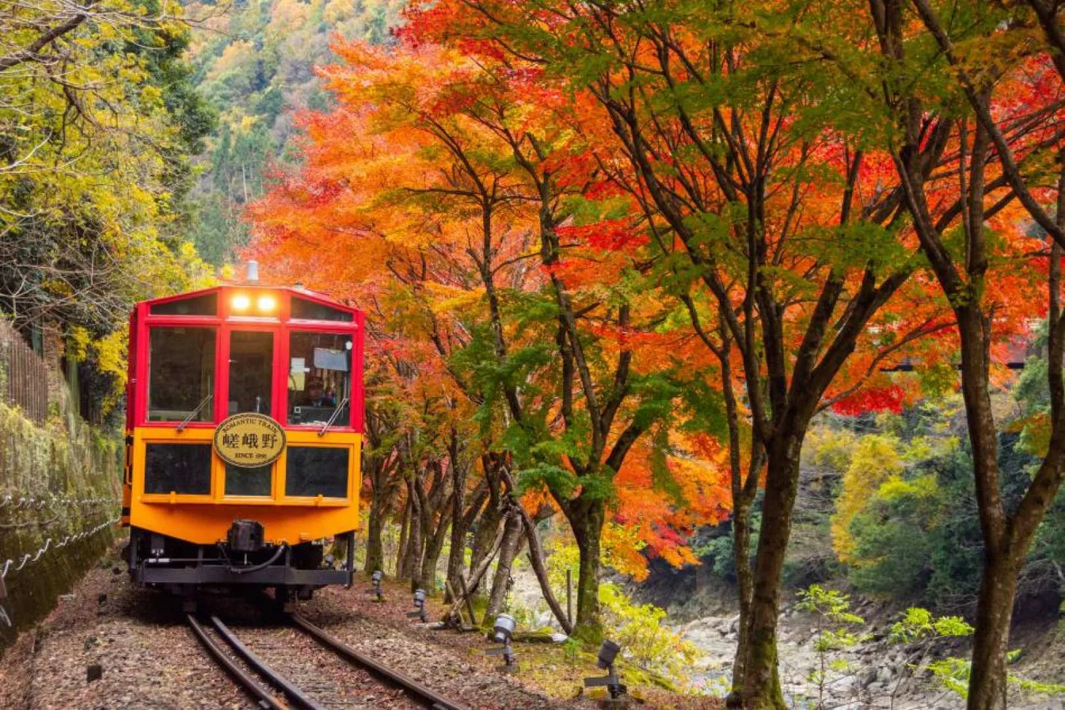 Sagano Romantic Train Arashiyama Kyoto E-Ticket