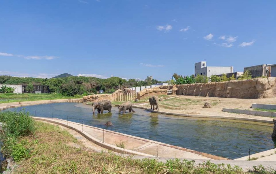 愛知 のんほいパーク（豊橋総合動植物公園）入園Eチケット（引換券）予約