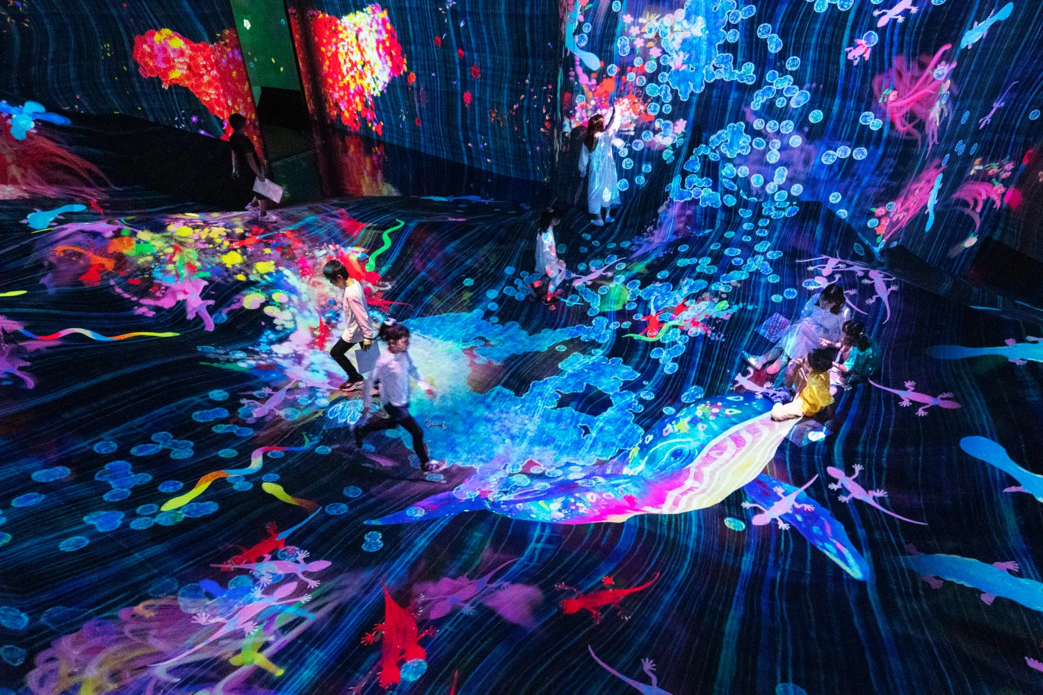 teamLab Future Park Okinawa Tickets